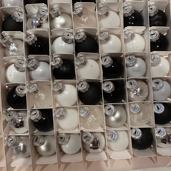 Elegant Black and White Set of 49 Mini Round Glass Ornaments Target Brand - Picture 10 of 11